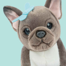 Laden Sie das Bild in den Galerie-Viewer, STUDIO PETS PLUSH – BIBI (23 CM)
